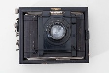 Contessa Nettel Deckrullo 9x12